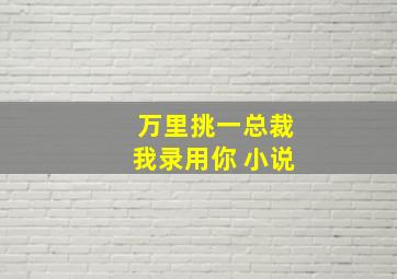 万里挑一总裁我录用你 小说